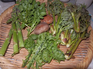 e0004756_21344770.jpg