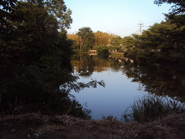 c0099564_2213127.jpg
