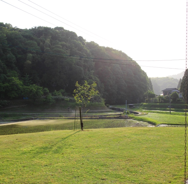 d0183368_17595389.jpg