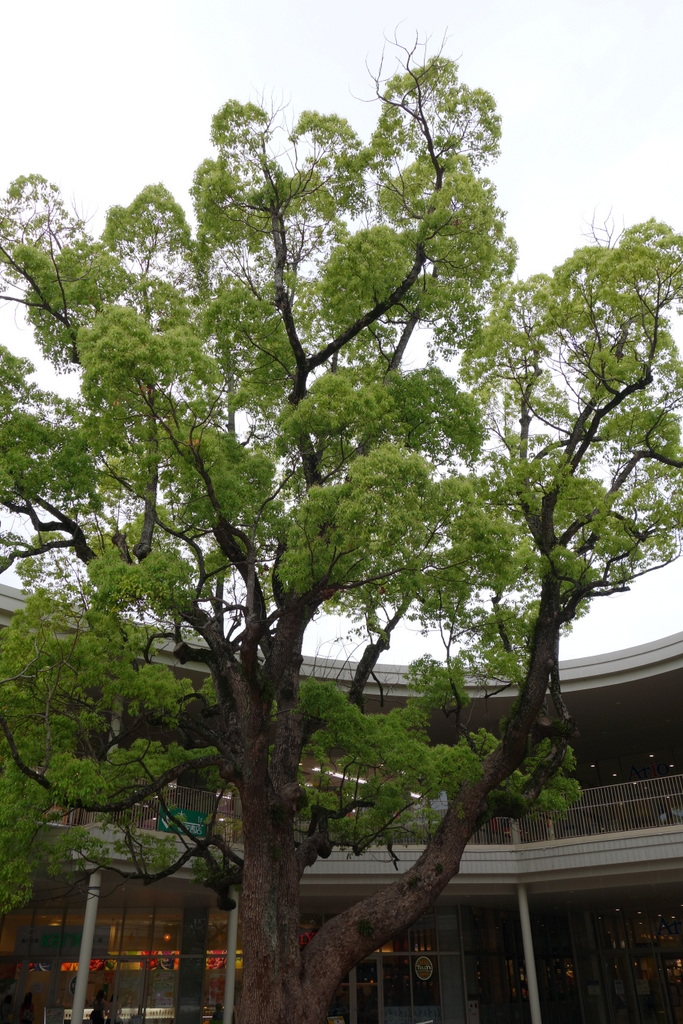 c0216472_20483542.jpg