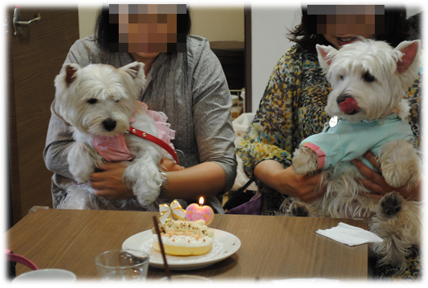 b0242873_12415983.png