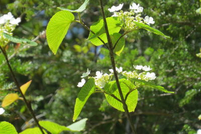f0182173_15223793.jpg