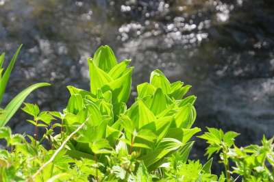 f0182173_15232829.jpg