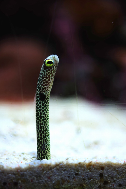 c0135381_042550.jpg