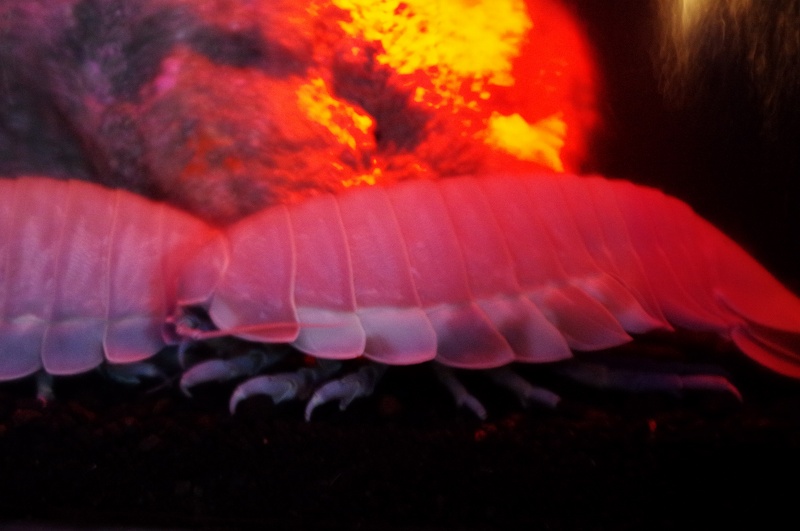 c0135381_0504438.jpg