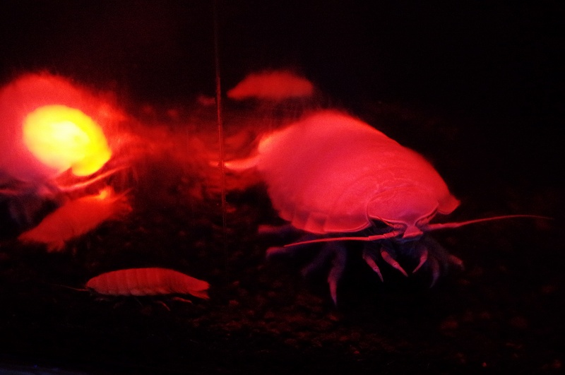 c0135381_0514190.jpg