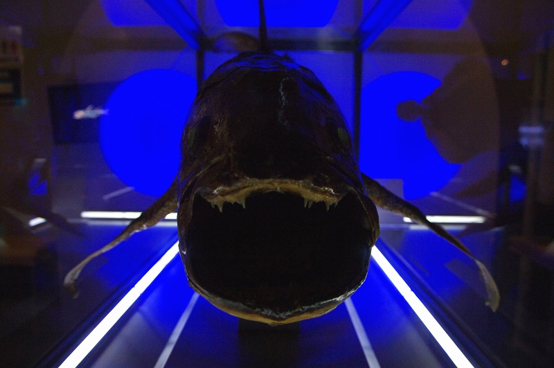 c0135381_102312.jpg