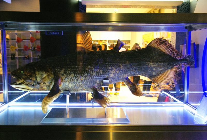c0135381_103888.jpg