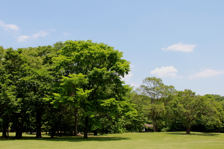 e0165983_9244357.jpg