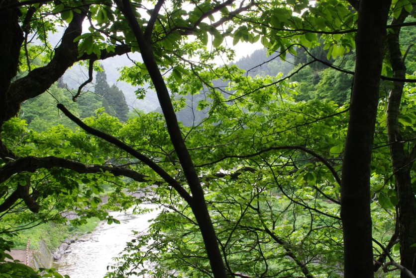 c0144185_11531955.jpg
