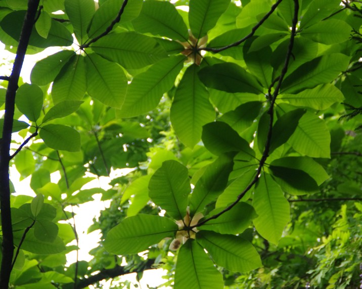 c0144185_12563940.jpg