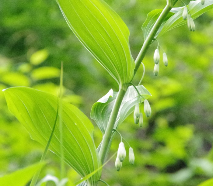 c0144185_1316203.jpg