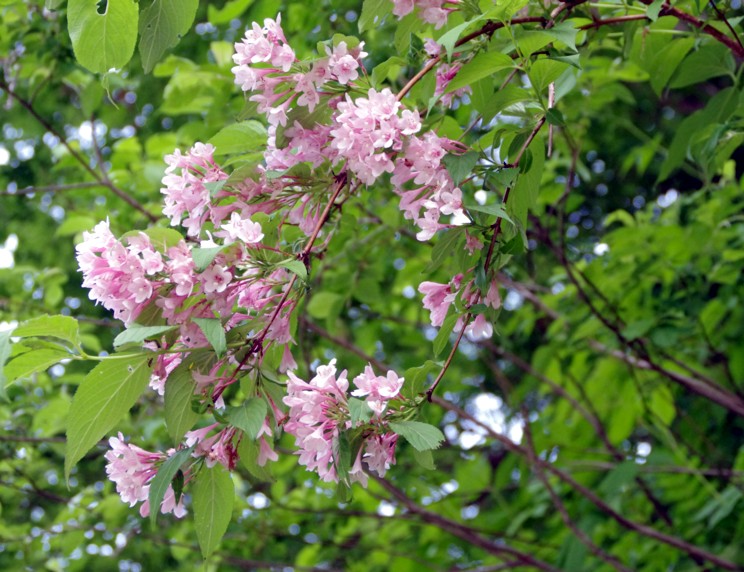 c0144185_1353121.jpg