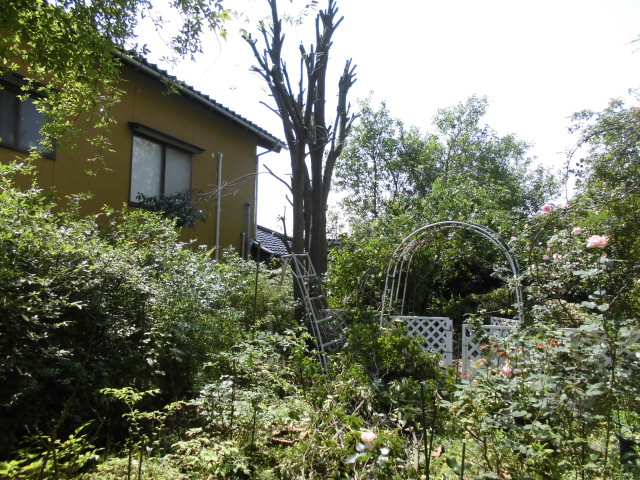b0091187_223594.jpg