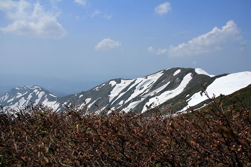 e0137200_18405742.jpg