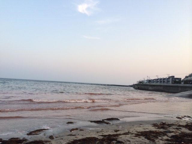 a0233202_923485.jpg