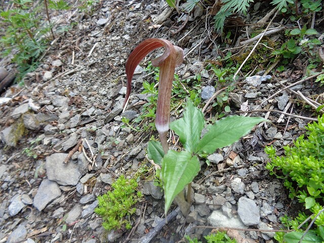 b0326303_09142978.jpg