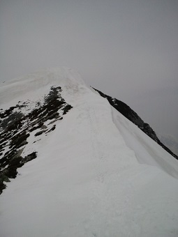 d0032405_11102785.jpg