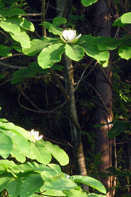 a0214206_2255326.jpg