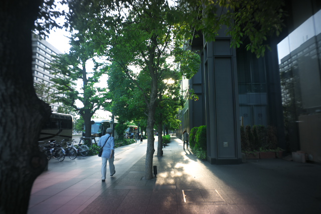 d0143011_10554047.jpg