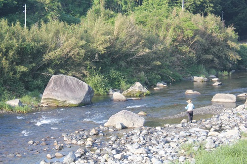 e0101917_6551134.jpg