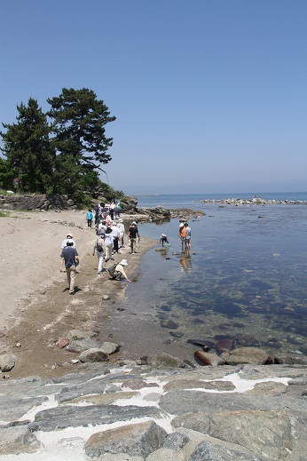 e0206820_20525491.jpg