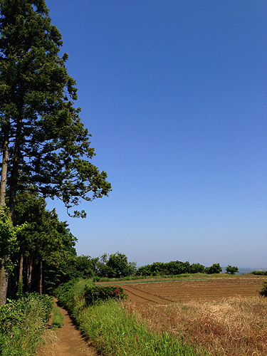 e0153022_22195958.jpg