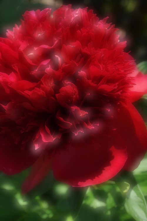 a0248728_725015.jpg