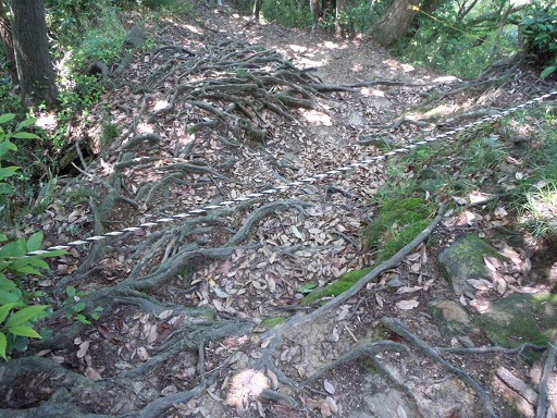 c0263829_18314234.jpg