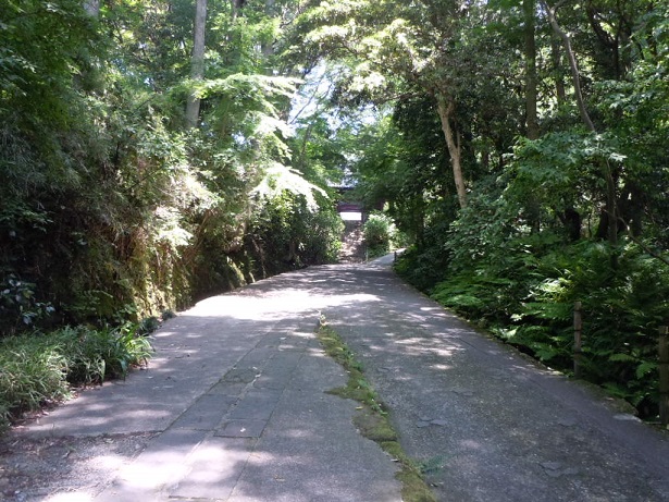 c0263829_1838734.jpg