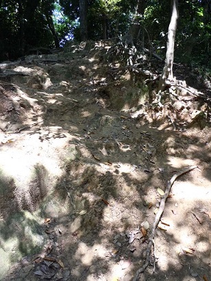 c0263829_18444676.jpg