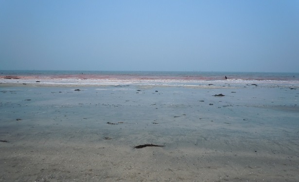 c0263829_18523371.jpg