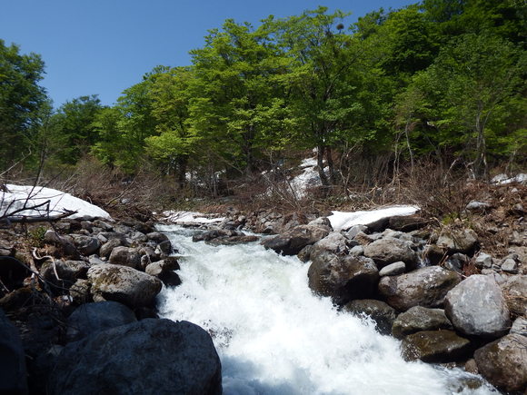 f0118332_2312327.jpg