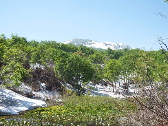 f0118332_23131058.jpg