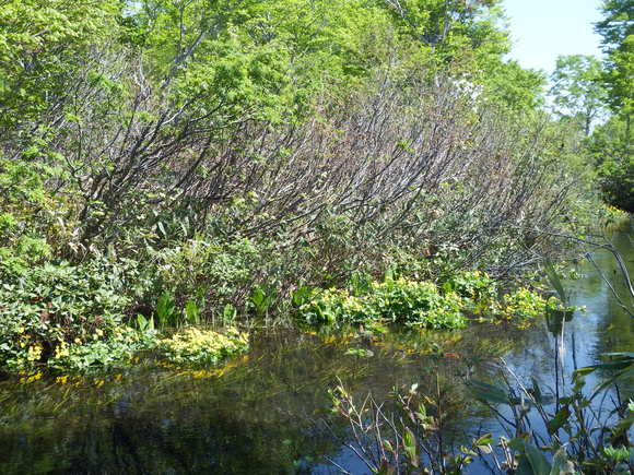 f0118332_2315962.jpg