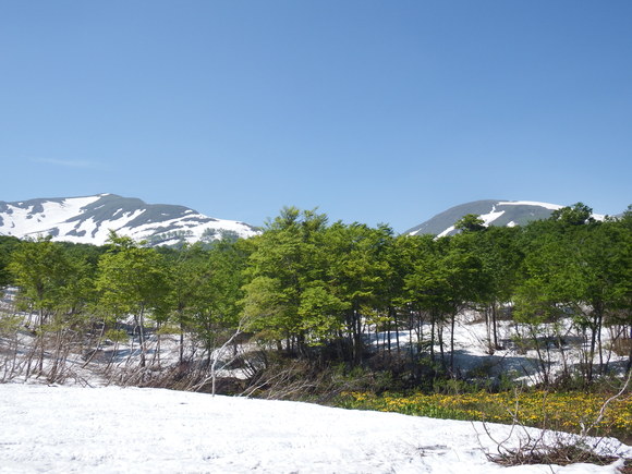 f0118332_23162553.jpg