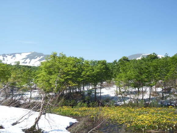 f0118332_2316544.jpg