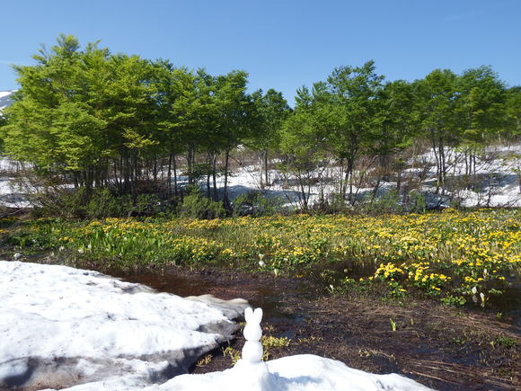 f0118332_231725100.jpg