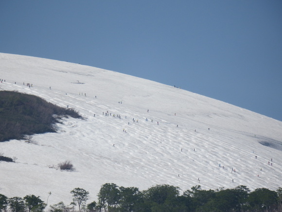 f0118332_23174755.jpg