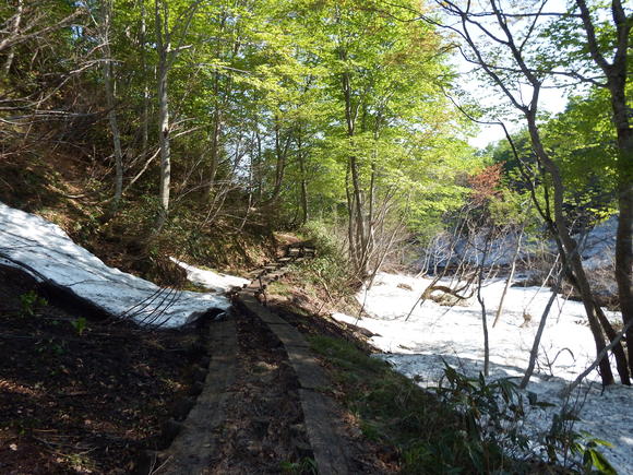 f0118332_23205330.jpg