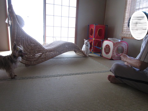 f0002833_16381714.jpg