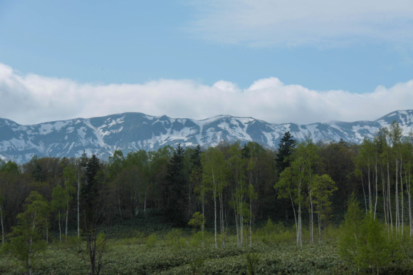 f0217933_11495220.jpg