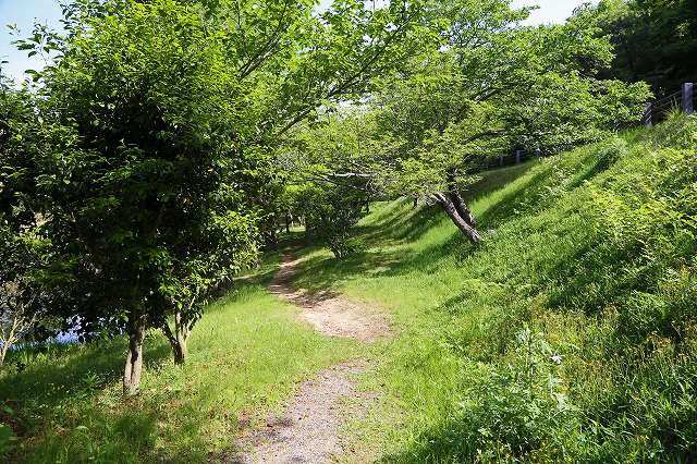 a0242438_1744114.jpg