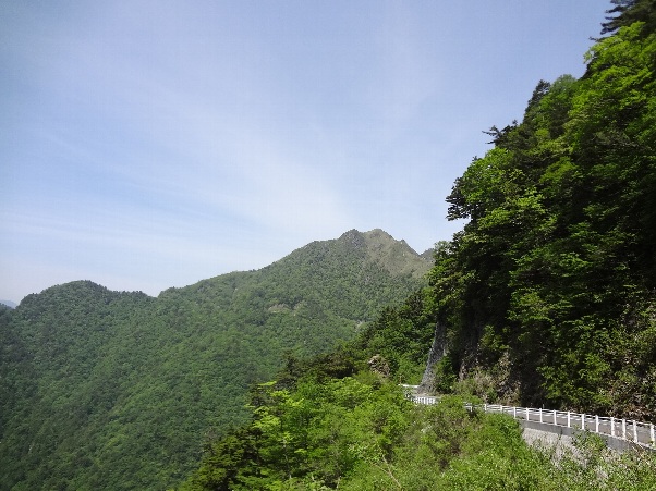 b0149340_21144456.jpg