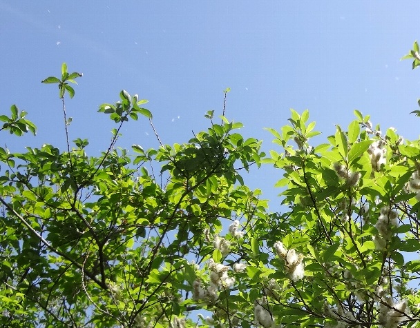 b0149340_2114597.jpg