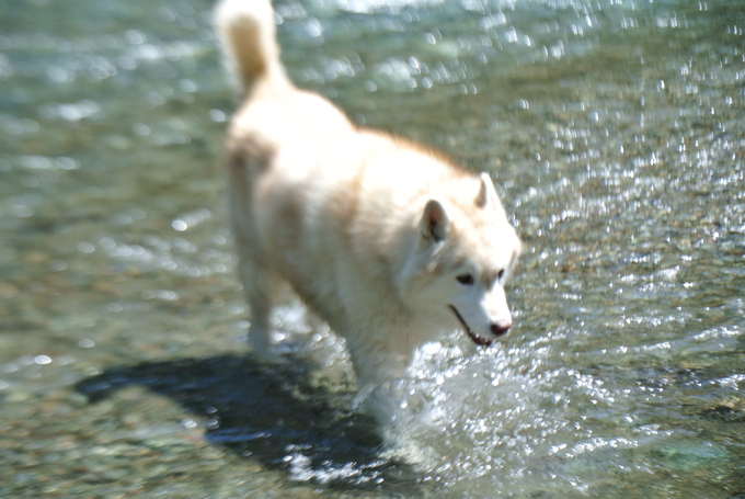e0121548_21434192.jpg