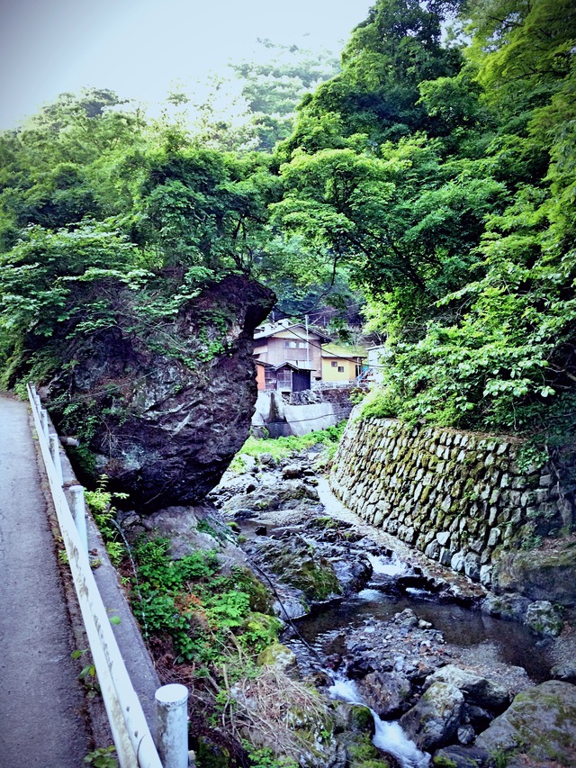 e0329049_13394932.jpg