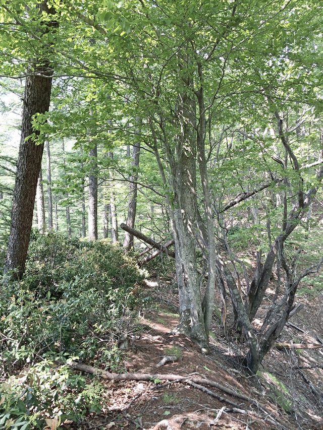 e0329049_14274990.jpg