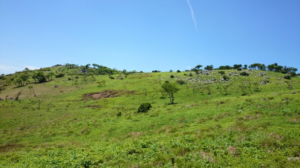 b0148050_18382335.jpg