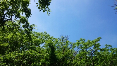 b0148050_18384956.jpg